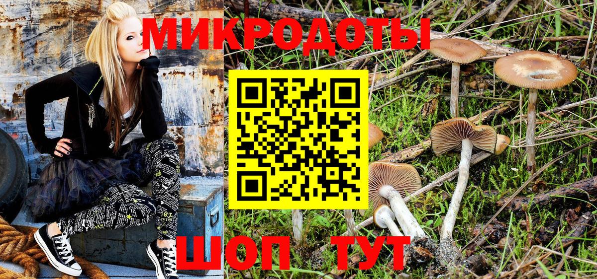Псилоцибиновые грибы мицелий  Псилоцибиновые грибы мицелий  Карасук  Вход с VPN 